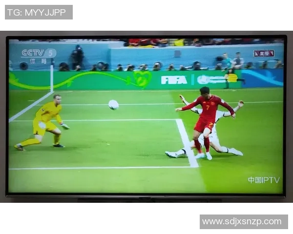 2010年世界杯经典对决德国队与西班牙队精彩录像回放重温比赛瞬间